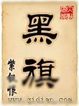 《黑旗》小说封面