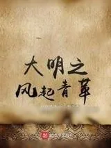 《大明之风起青苹》小说封面