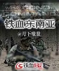 《铁血东南亚》小说封面