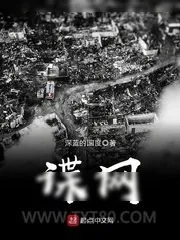 《谍网》小说封面