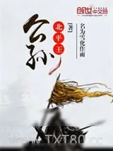 《公孙北平王》小说封面