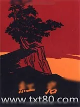 《红岩》小说封面