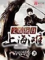 《文娱抗日上海滩》小说封面