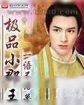 《极品小郡王》小说封面