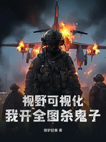 《视野可视化，我开全图杀鬼子》小说封面