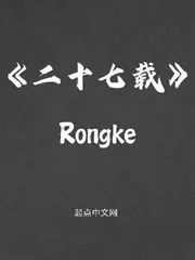 《二十七载》小说封面