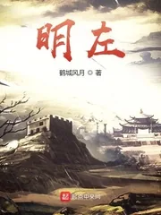 《明左》小说封面