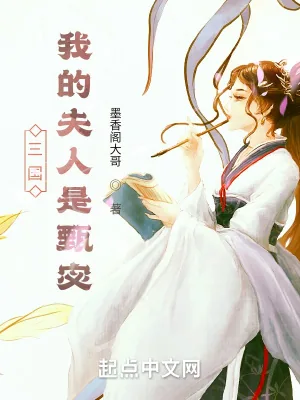 《三国：我的夫人是甄宓》小说封面