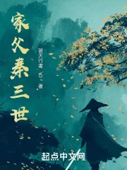 《家父秦三世》小说封面