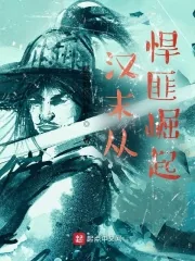 《汉末从悍匪崛起》小说封面