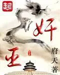《奸臣》小说封面