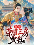 《红楼:荣国三房,贾珏!》小说封面