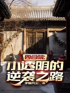 《四合院：小透明的逆袭之路》小说封面
