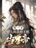 《等一下!什么叫我想不想当皇帝?》小说封面