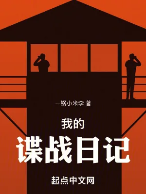 《我的谍战日记》小说封面