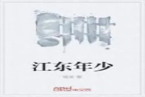 《江东年少》小说封面