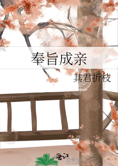 《奉旨成亲》小说封面
