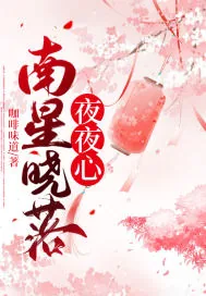 《南星晓落夜夜心》小说封面