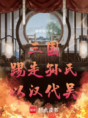 《三国：踢走孙氏，以汉代吴》小说封面