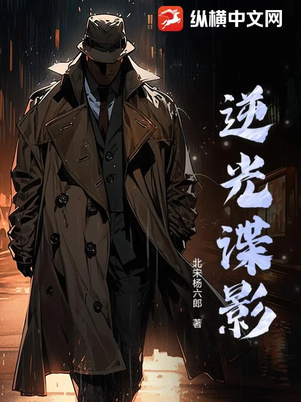 《逆光谍影》小说封面