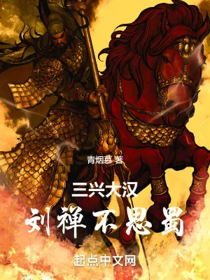 《三兴大汉:刘禅不思蜀》小说封面