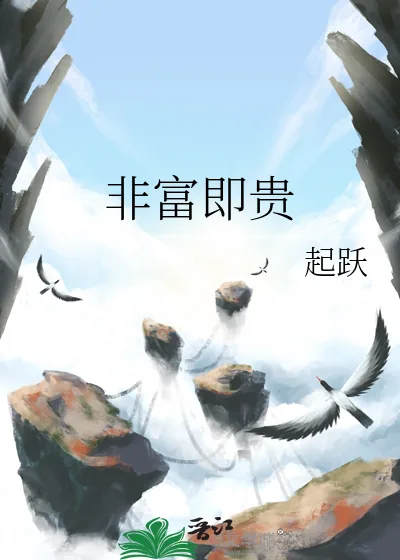 《非富即贵》小说封面