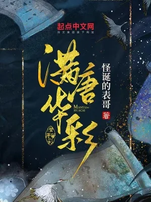 《满唐华彩》小说封面