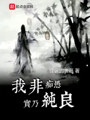 《我非痴愚实乃纯良》小说封面