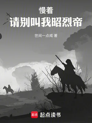 《慢着，请别叫我昭烈帝》小说封面