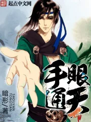 《手眼通天》小说封面