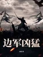 《边军凶猛》小说封面