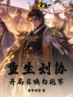 《重生刘协，开局召唤白袍军！》小说封面
