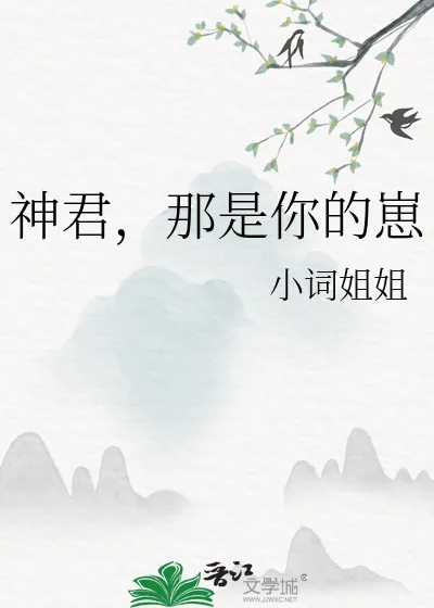《神君，那是你的崽》小说封面