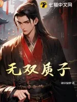 《无双质子》小说封面