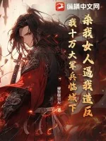 《杀我女人逼我造反，我十万大军兵临城下！》小说封面