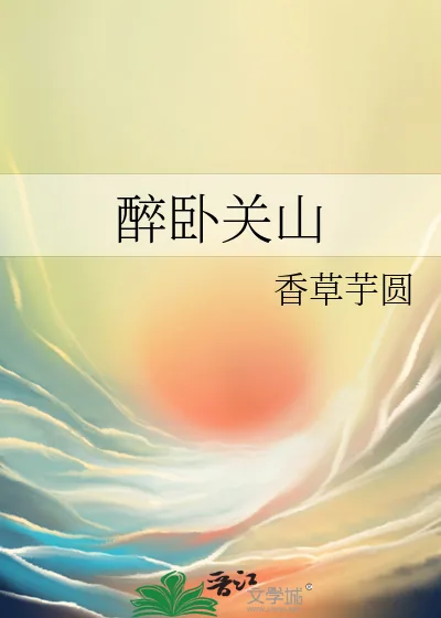 《醉卧关山》小说封面
