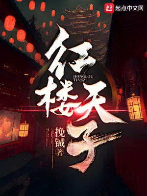 《红楼天子》小说封面