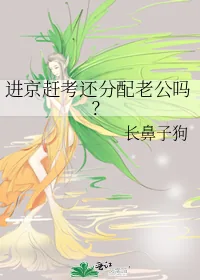 《进京赶考还分配老公吗?》小说封面