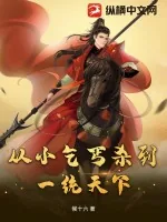 《从小乞丐杀到一统天下》小说封面