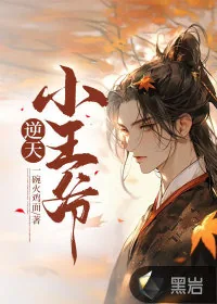《逆天小王爷》小说封面