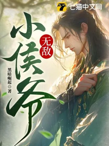 《无敌小侯爷》小说封面