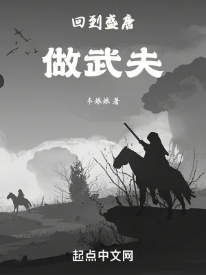 《回到盛唐做武夫》小说封面