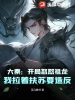 《大秦:开局怒怼祖龙,我拉着扶苏要造反》小说封面