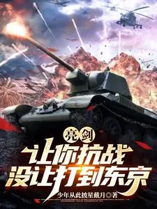 《亮剑:让你抗战,没让打到东京》小说封面