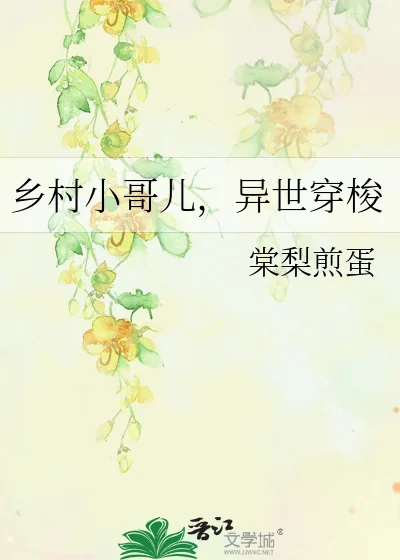 《乡村小哥儿,异世穿梭》小说封面
