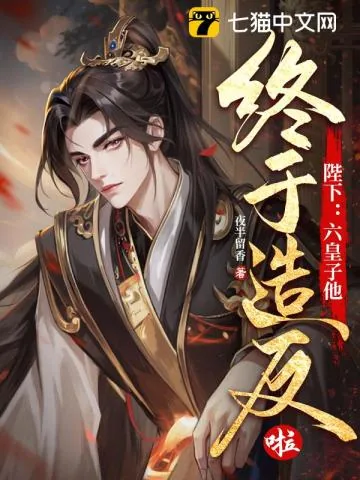 《陛下：六皇子他终于造反啦！》小说封面