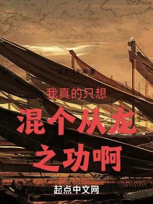 《我真的只想混个从龙之功啊》小说封面