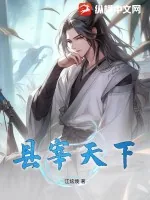《县宰天下》小说封面