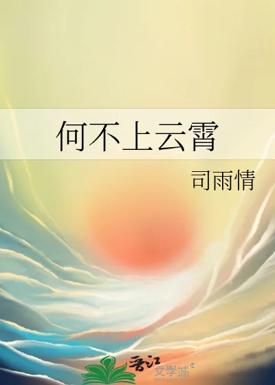《何不上云霄》小说封面