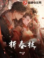 《折春枝》小说封面